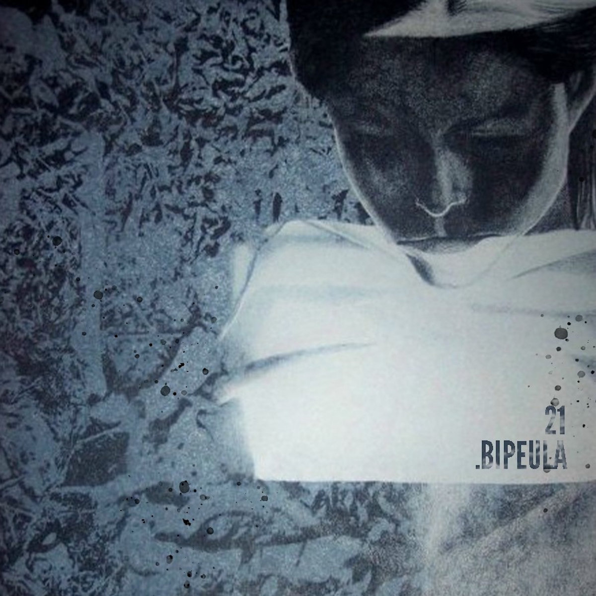 Bipeula artwork