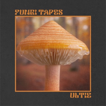 Fungi Tapes artwork